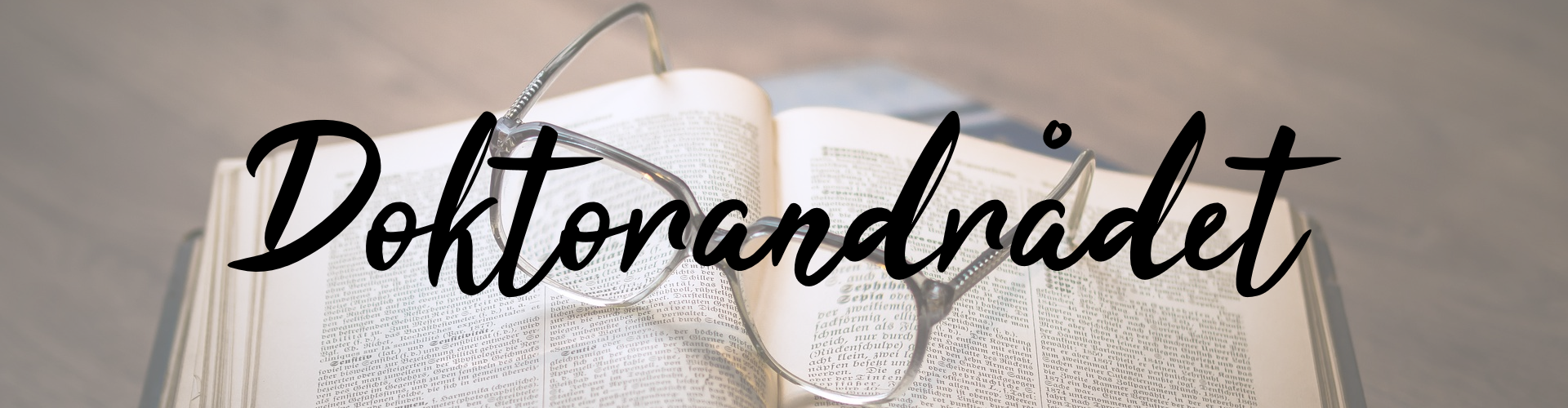 banner-doktorandradet