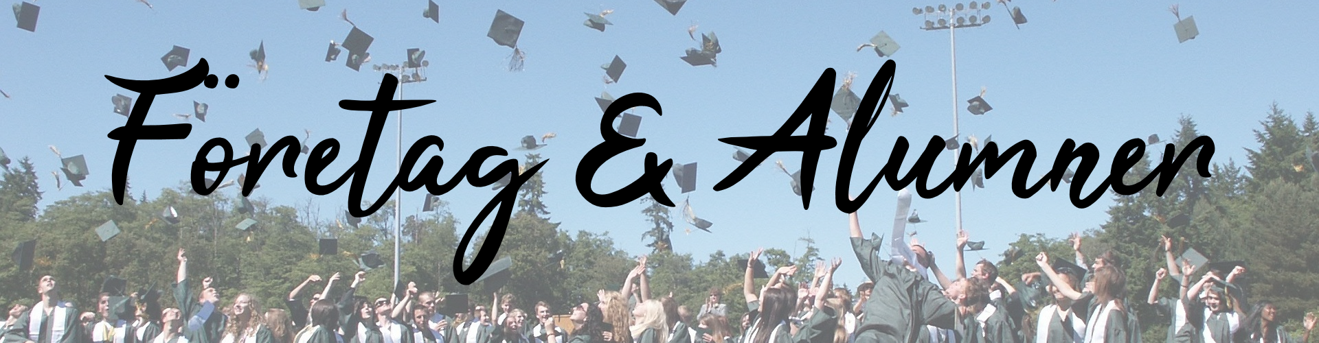 banner-foretag-alumner
